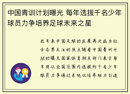 中国青训计划曝光 每年选拔千名少年球员力争培养足球未来之星
